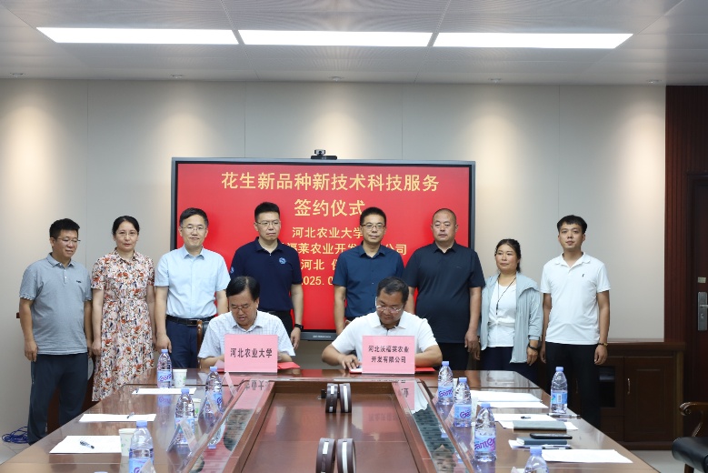“冀農花18號”成果轉讓暨花生新品種新技術科技服務簽約儀式在我校圓滿舉行
